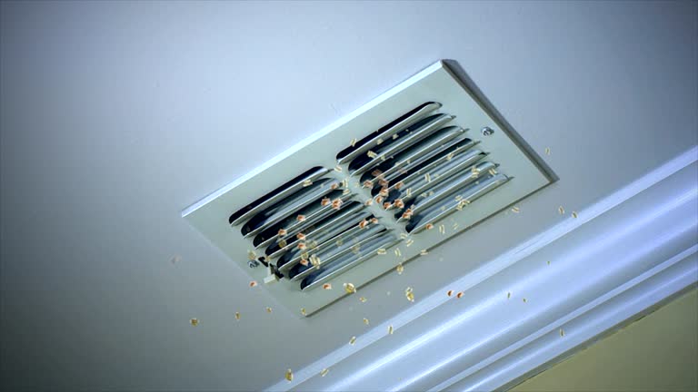 Best Residential Air Duct Cleaning  in Rockfish, NC